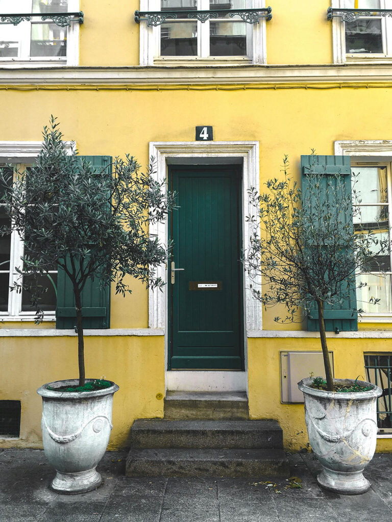 Who Is Responsible for Tree Trimming: Landlord or Tenant? (In-Depth Guide)