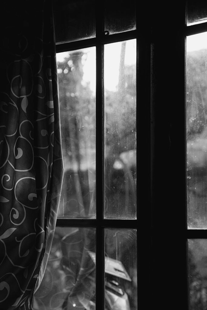 Are Landlords Responsible for Pest Control in Florida? A Comprehensive Legal Guide for Landlords