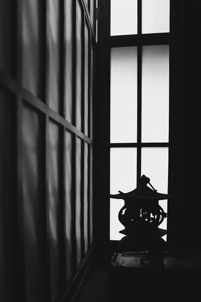 Can Landlords Be Sued for Termites?