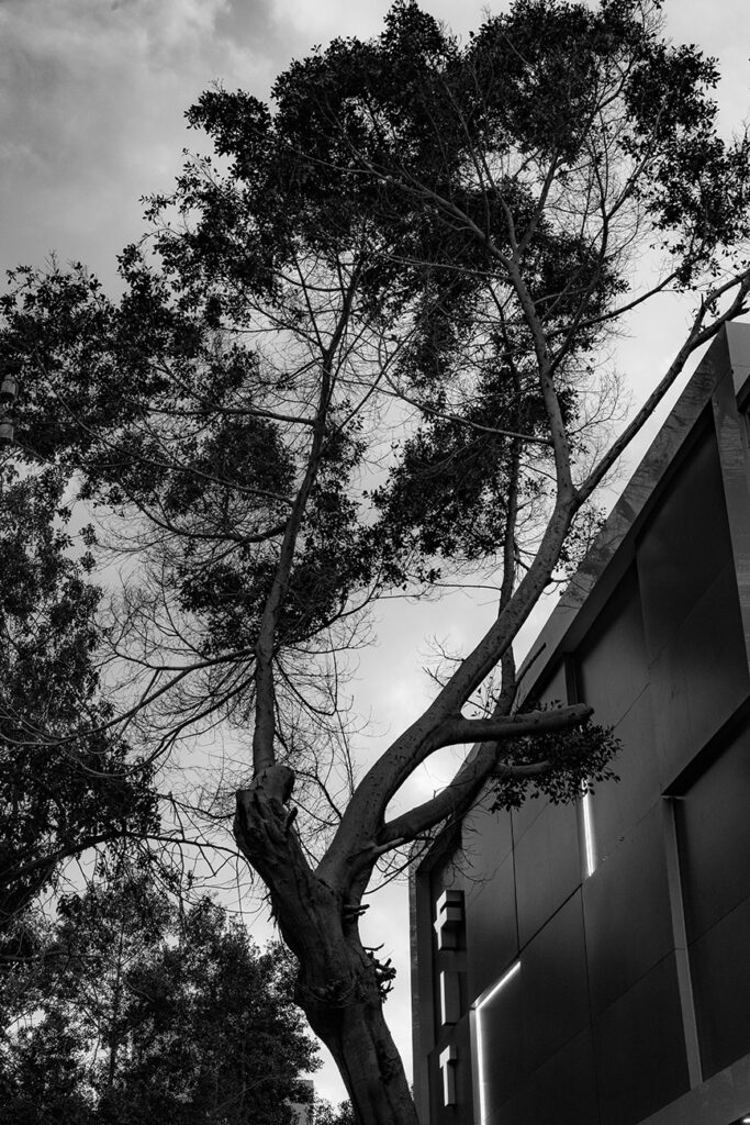 Landlord Horror Story: Hidden Pets, Property Destruction, and a $17,000 Eviction Nightmare in Seattle